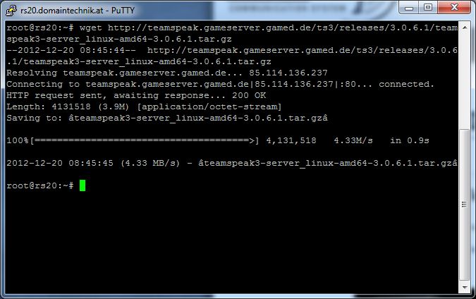 Teamspeak Server mit wget laden