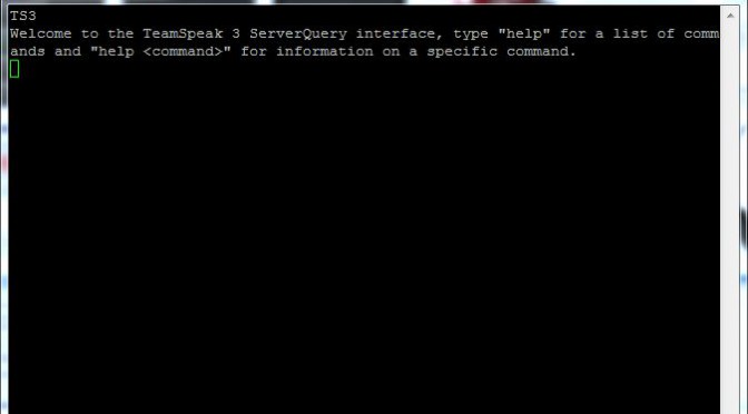 PuTTY Query Konsole Teamspeak