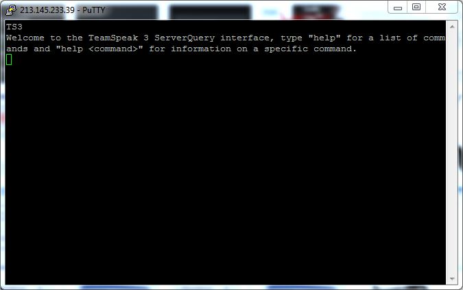 PuTTY Query Konsole Teamspeak