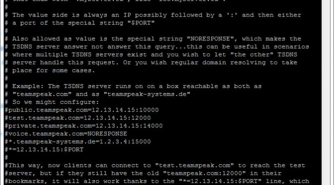 Teamspeak Server tsdns_settings.ini