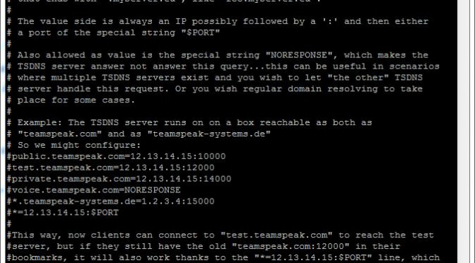 Teamspeak Server tsdns_settings.ini